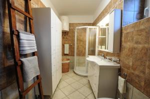 伊利尔斯卡比斯特里察Barbara`s Village House的一间带水槽、卫生间和淋浴的浴室