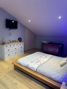 Gerbamont Gîte du Bambi的一间卧室配有一张床和一台平面电视