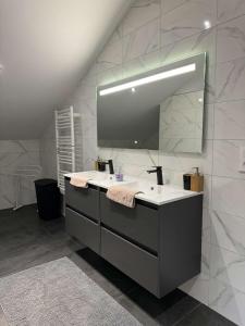 Gerbamont Gîte du Bambi的一间带水槽和大镜子的浴室