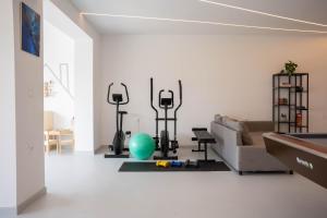 埃皮斯科皮Elarchon Villa Private Pool的带沙发和健身器材的客厅