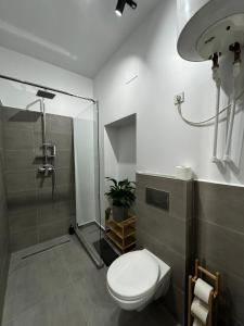 TeşilaValea Doftanei Glamping的一间带卫生间和淋浴的浴室