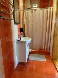ChynadiyovoMini-Hotel "Nord"的一间带水槽和淋浴帘的浴室