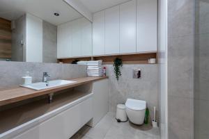 罗兹Very Stylish&Secure Penthouse -Free Parking的一间带水槽和卫生间的浴室