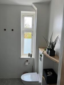 奥尔堡Cozy Villa-Apartment - Close to Aalborg center - Free citybikes and parking的白色的浴室设有卫生间和窗户。