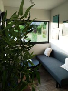 卡齐米日-多尔尼KaZielnik的带沙发和植物的客厅