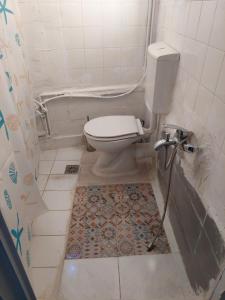 雅典ACROPOLIS ViEW MIXED DORMITORIES 1 MINUTE BY THISSIO METRO STOP的一间带卫生间的浴室和瓷砖地板。