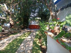 圣安德烈斯-图斯特拉Loft-Departamento encantador con estacionamiento的一个带栅栏、一棵树和一棵草的院子