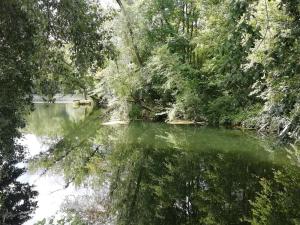 Azay-sur-CherStudio au coeur de la vallée de la Loire的树木林中的水体