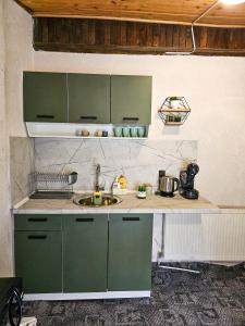 波罗维茨Guest Rooms- KLEPALSKI House的厨房配有绿色橱柜和水槽