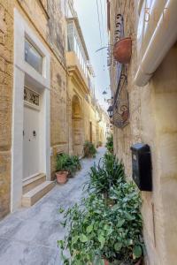 拉巴特Authentic & cosy duplex home in charming Rabat By 360 Estates的一座种植了盆栽植物的古老建筑中的小巷