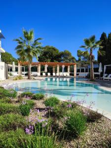 克里斯托港Sol i Vida Hotel - Adults Only的一座棕榈树和蓝天的大型游泳池