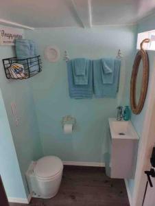 Merritt IslandSeaside Escape A Cozy Houseboat的浴室配有卫生间、水槽和毛巾。
