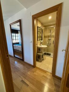 比努埃萨Apartamento Mirador del Pantano 1的一间带卫生间、水槽和镜子的浴室