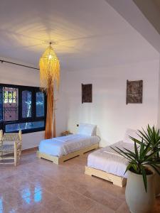 塔姆拉赫特乌兹达尔Darna Surf House Morocco的一间卧室配有两张床和吊灯。