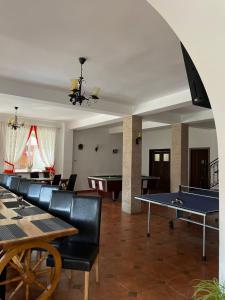 莫伊西德约斯Pensiunea Andora的客厅配有乒乓球桌和乒乓球桌