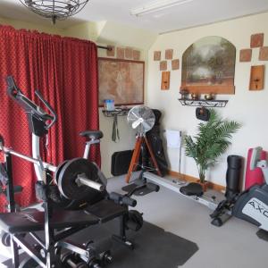 GoleenMizen View的一间设有健身器材的健身房的房间