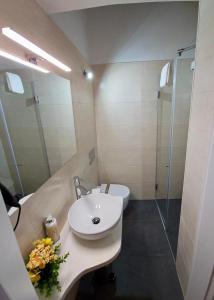 塞卡尔Casa do Chafariz - Rooms的一间带水槽、淋浴和卫生间的浴室
