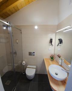 塞卡尔Casa do Chafariz - Rooms的浴室配有卫生间、盥洗盆和淋浴。