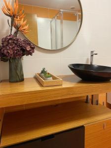 巴雷罗斯Costa Reinante Foro的浴室的柜台设有水槽和镜子