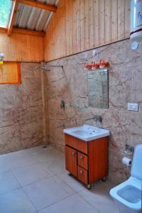 SainjStargazing Treehouse Himachal的一间带水槽和卫生间的浴室