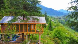 SainjStargazing Treehouse Himachal的森林中间的小房子