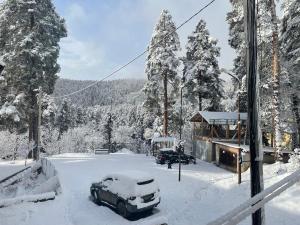 阿巴斯图马尼Abastumani Apartment的停在房子前面的雪地里的汽车