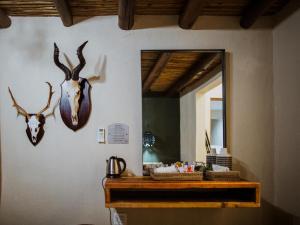 WolmaranstadBona Bona Game Lodge的墙上的镜子,上面有两只鹿头