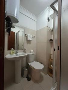 丰沙尔Palmar Rooms的一间带卫生间和水槽的浴室
