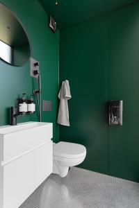 SveneGrend Blefjell的绿色浴室设有卫生间和镜子