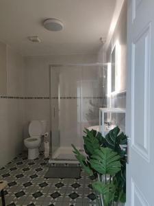 布莱克莱恩Blacklion prime location apartment的带淋浴、卫生间和植物的浴室