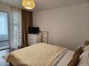 茹里洛夫卡Casa EMMA的一间卧室配有一张床和一台平面电视