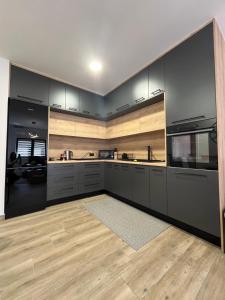 新格拉迪什卡Apartman Sandra的厨房配有黑色橱柜和木地板