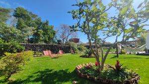 圣维森特费雷拉Quinta dos Sentidos , Rustic Holiday Houses in São Vicente Ferreira的庭院里种着树木和鲜花的花园