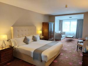 戈尔韦门罗公园酒店的一间带大床的卧室和一间客厅