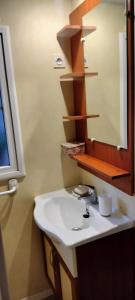 Orgnac-lʼAvenMobile home的一间带水槽和镜子的浴室