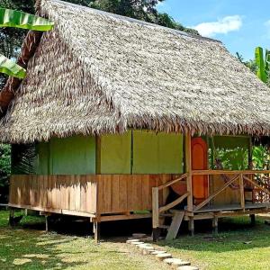 伊基托斯Amazon Tropical Expeditions的茅草屋顶的小小屋