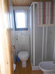 莫内利亚Il Rospo的一间带卫生间和水槽的小浴室