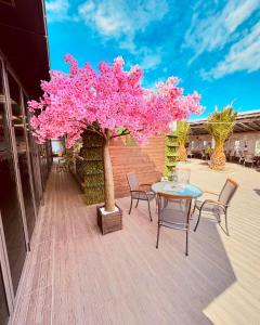 普罗夫迪夫Plaza Hotel Plovdiv的天井上的粉红色树,配有桌椅