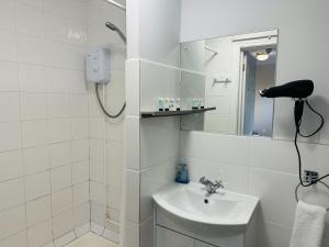 菲尔布里奇woodcock inn的白色的浴室设有水槽和淋浴。