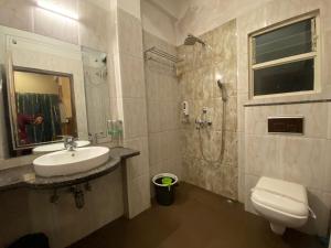 大吉岭Lamahatta Residency的一间带水槽、淋浴和卫生间的浴室
