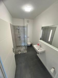 奥尔登堡Modern eingerichtetes Apartment zum entspannen und wohlfühlen的带淋浴和盥洗盆的浴室