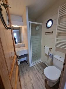 爱斯科利夫-圣卡米Villa Rose的一间带卫生间、淋浴和时钟的浴室
