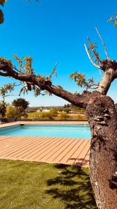 马丁纳弗兰卡Relax in valle的树靠在泳池旁的木甲板上