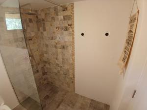 坎普朗莫道尼斯Mica fermă veselă的带淋浴的浴室和玻璃门