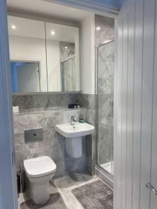 彼索普斯托福3 Bedroom Apartment with Balcony的浴室配有卫生间、盥洗盆和淋浴。
