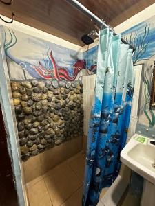 塔尔科莱斯Hostel Rústico MarAbi的浴室设有淋浴,墙上挂有绘画作品
