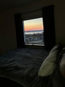 延雪平Lägenhet Elmia的一间卧室设有一张床和一个大窗户