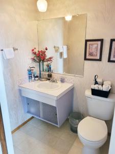 埃德蒙顿The Dewberry Homestay B&B的一间带水槽、卫生间和镜子的浴室