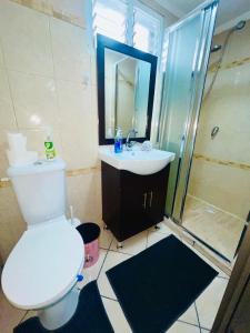 埃拉特Eilat Beach House的浴室配有卫生间、淋浴和盥洗盆。