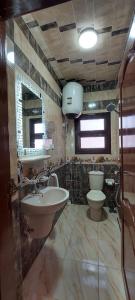 曼苏拉شقة مكيفة مفروشة بالكامل فرش جديد بالمنصورة的一间带水槽和卫生间的浴室